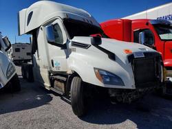 Salvage trucks for sale at Anthony, TX auction: 2019 Freigliner 2019 Freightliner Cascadia 126 Semi Truck