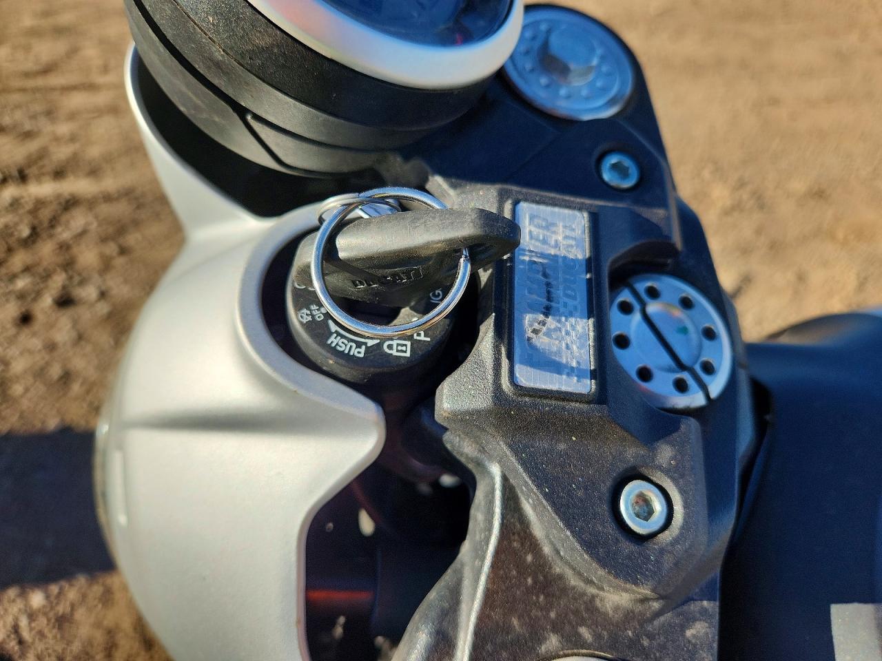 2019 Ducati Scrambler Desert Sled