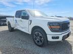 2024 Ford F150 STX