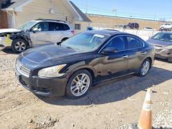Nissan Maxima Vehiculos salvage en venta: 2009 Nissan Maxima 3.5 s