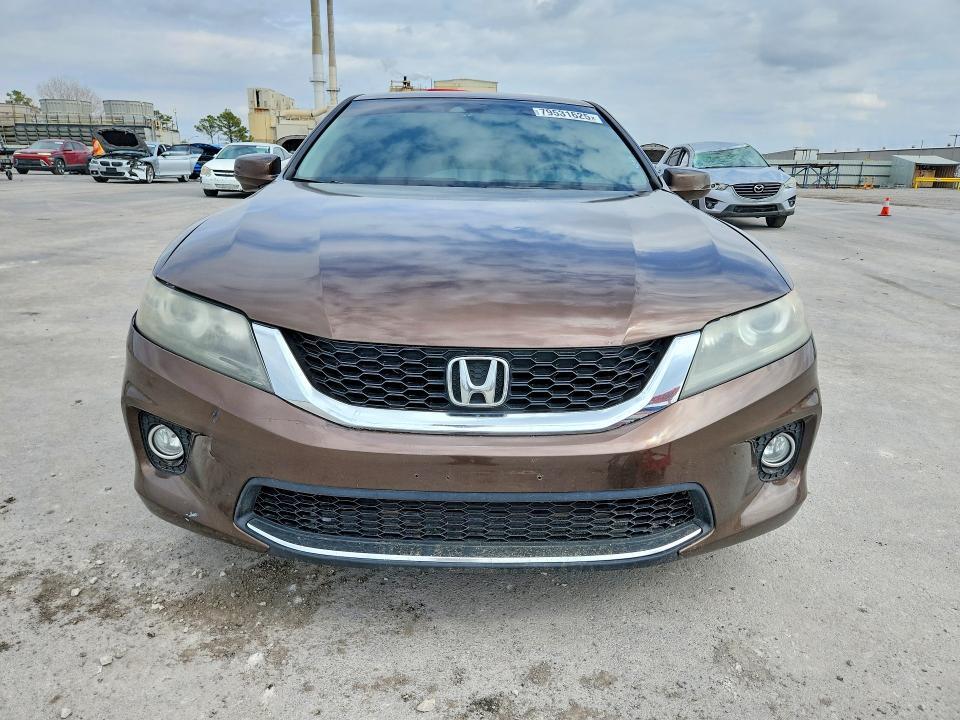 2013 Honda Accord exl