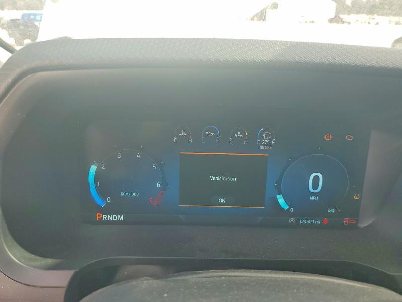 2025 Ford F150 XLT