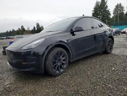 Tesla salvage cars for sale: 2024 Tesla Model y