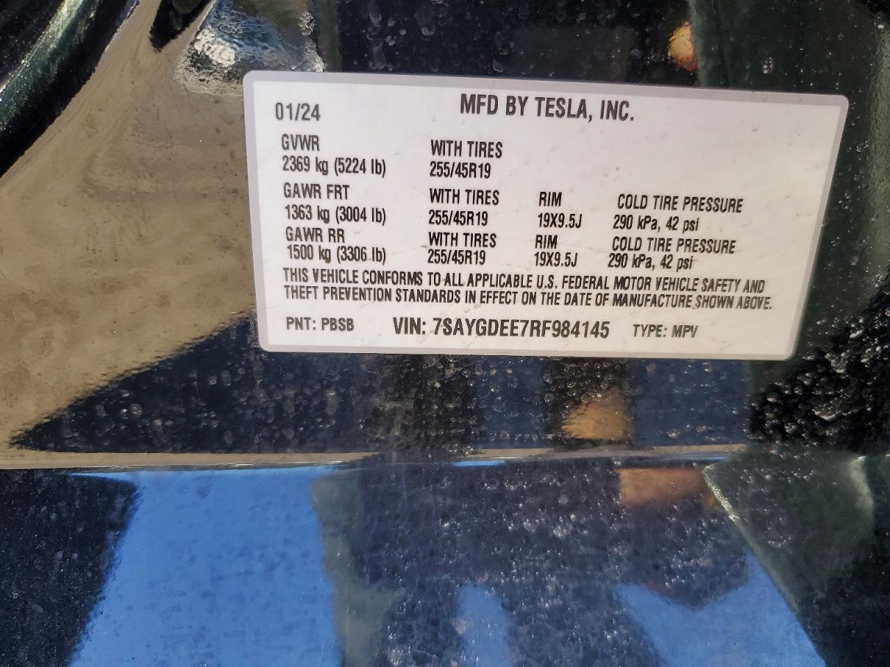 2024 Tesla Model y