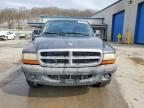 2004 Dodge Dakota SXT