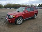2008 Ford Escape Limited
