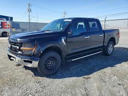 2025 Ford F150 XLT en venta en Elmsdale, NS