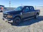 2025 Ford F150 XLT