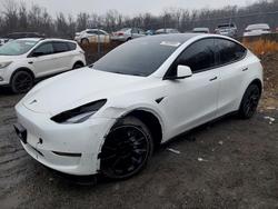 Tesla salvage cars for sale: 2023 Tesla Model y