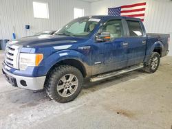 Salvage cars for sale from Copart Barberton, OH: 2012 Ford F150 Supercrew