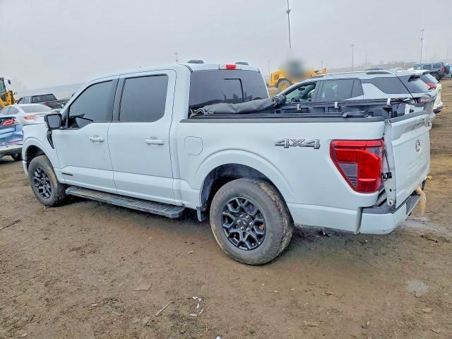 2025 Ford F150 xlt