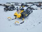 2025 Skidoo 2025 True Summit NEO+ 600