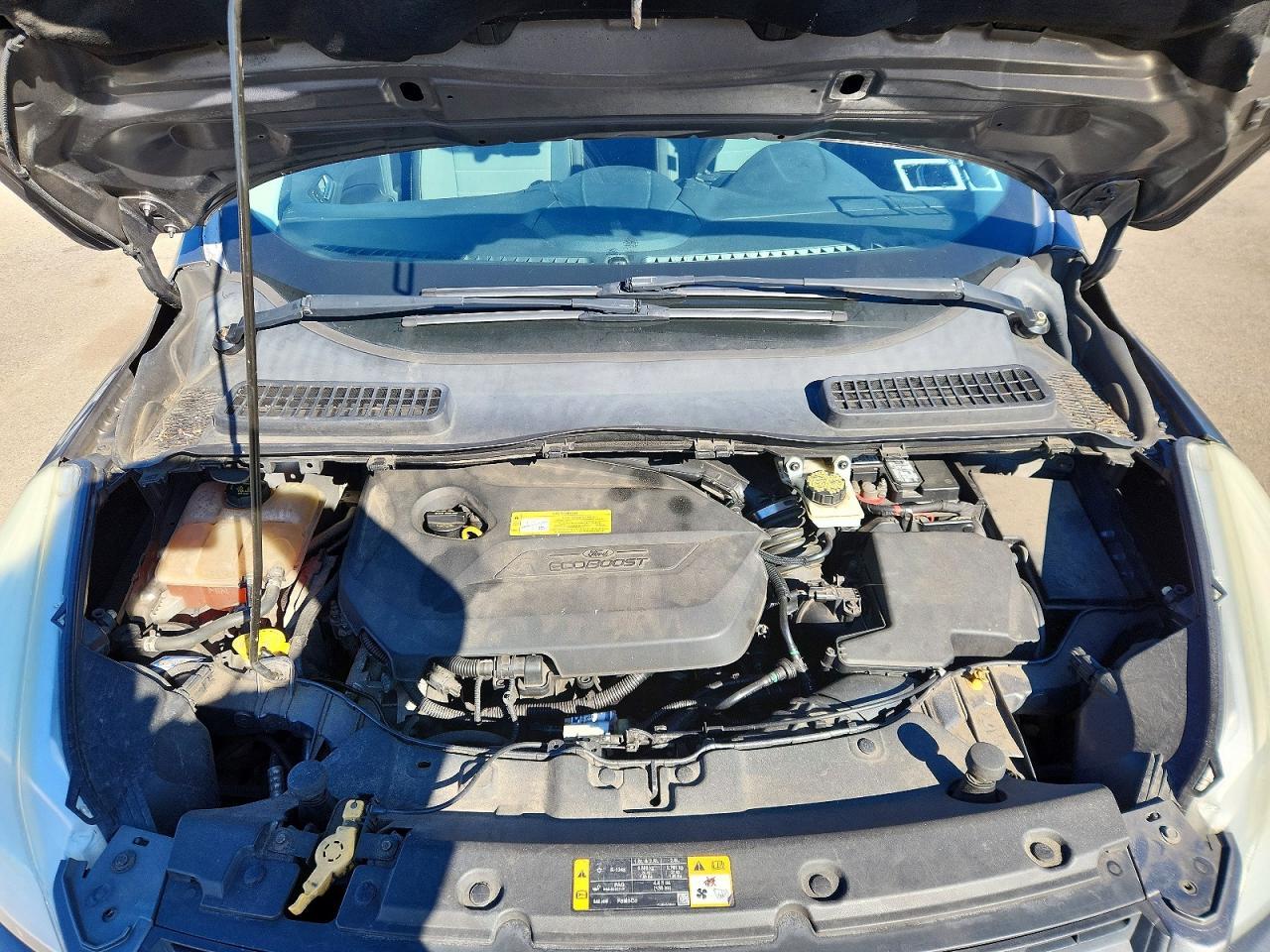 2013 Ford Escape se