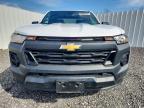 2023 Chev Colorado