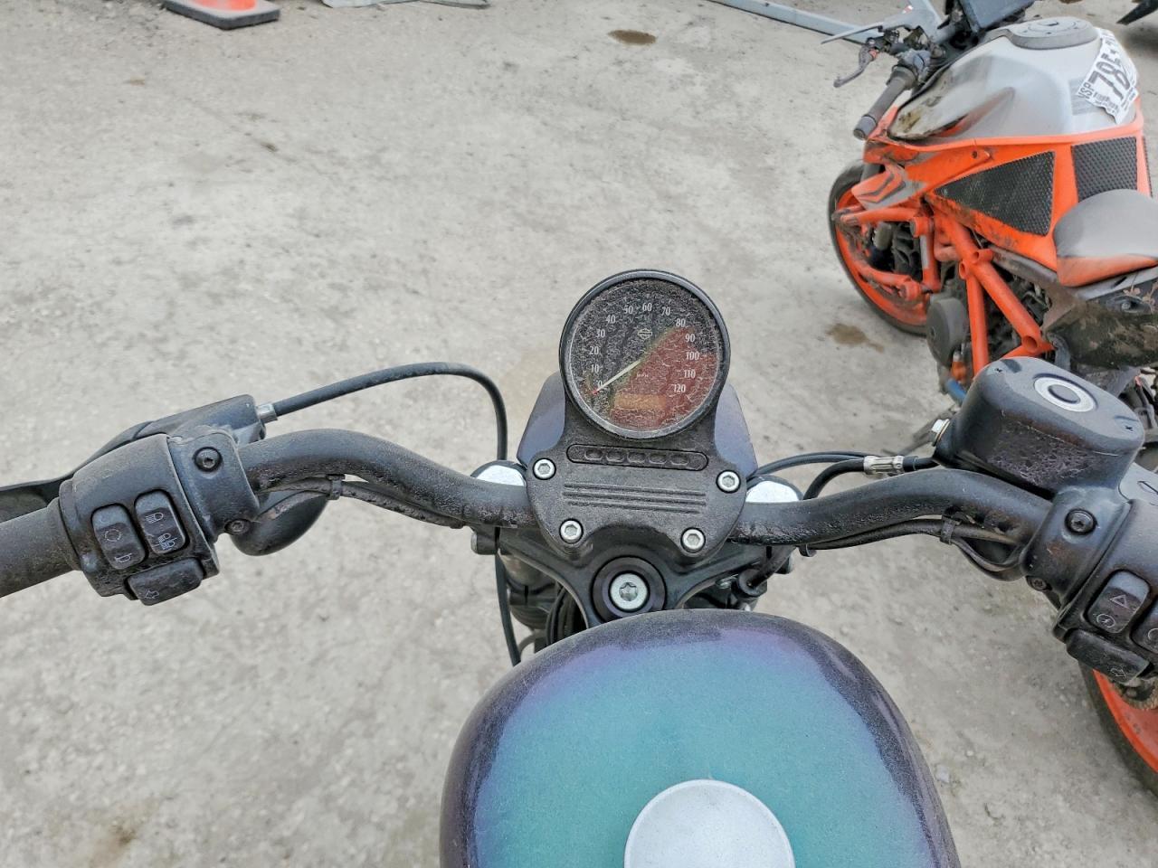 2019 Harley-Davidson XL883 N