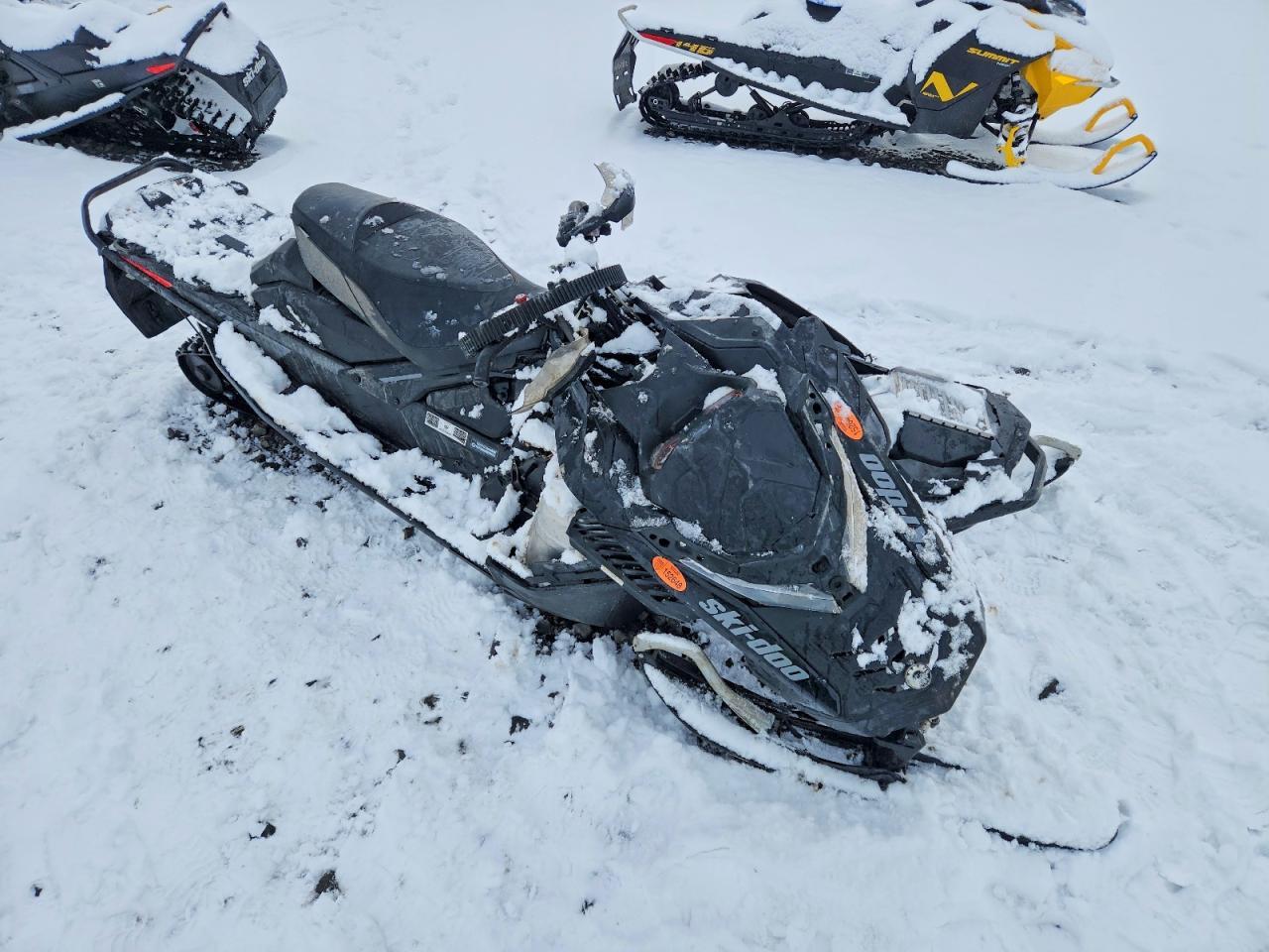 2019 Skidoo Renegade 900 ACE