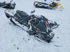 2019 Skidoo Renegade 900 ACE