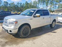 Salvage cars for sale from Copart Harleyville, SC: 2013 Ford F150 Supercrew