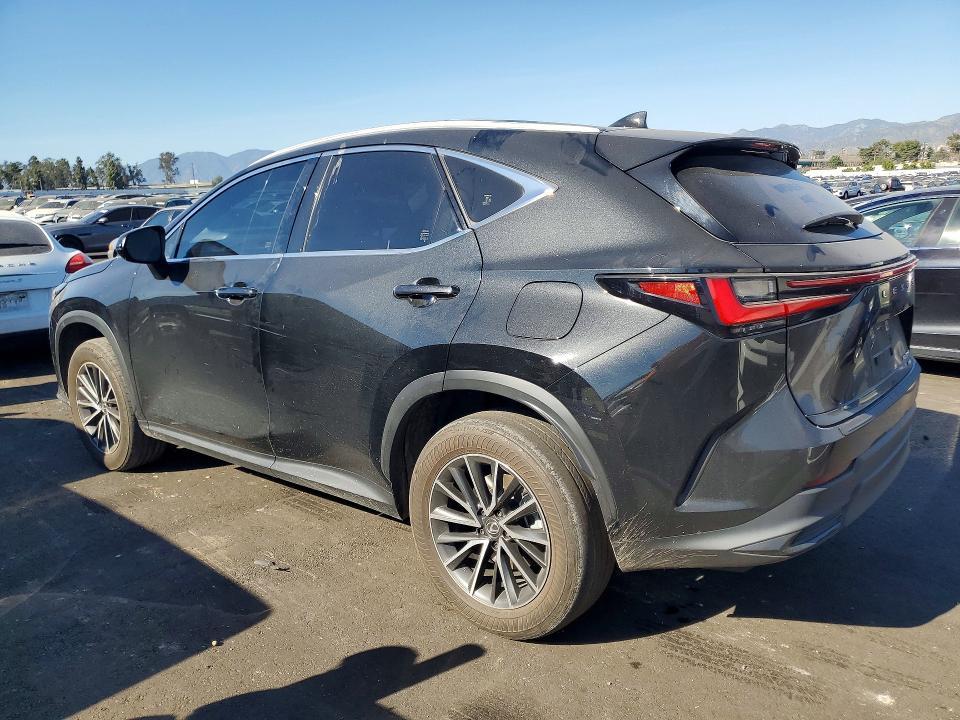 2024 Lexus Nx 350h Base