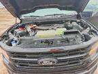2024 Ford F150 XLT