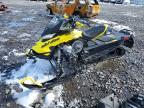 2020 Other Automobile Snowmobile