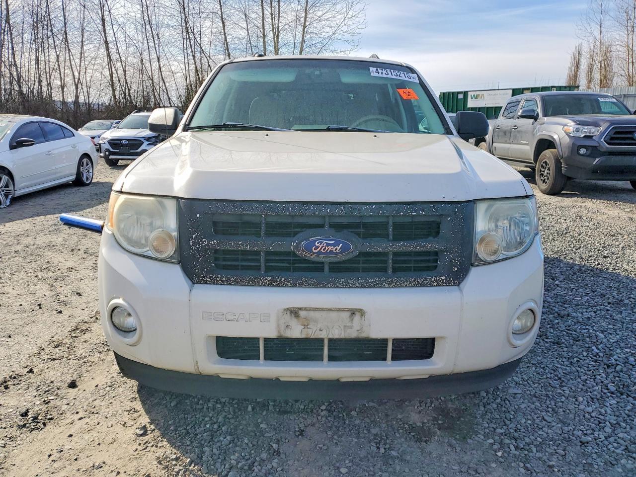 2010 Ford Escape xlt