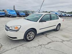 Chev salvage cars for sale: 2005 Chev Malibu