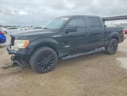 2011 Ford F150 Supercrew en venta en West Palm Beach, FL