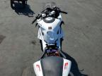 2025 CFM Zforce