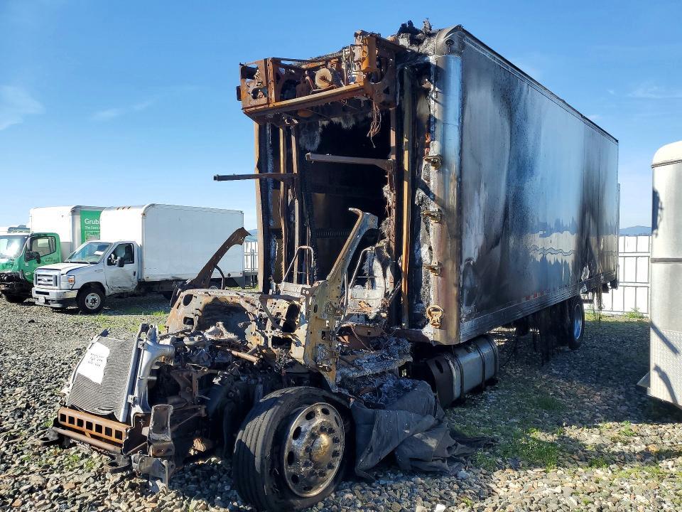 2024 Peterbilt 536 Refrigerated box Truck