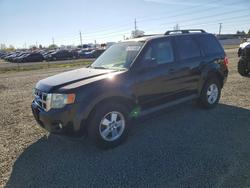 Salvage cars for sale from Copart Eugene, OR: 2010 Ford Escape xlt