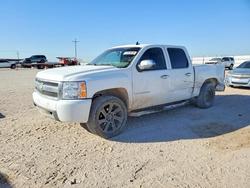 Salvage trucks for sale at Andrews, TX auction: 2007 Chevrolet Silverado C1500 Crew Cab
