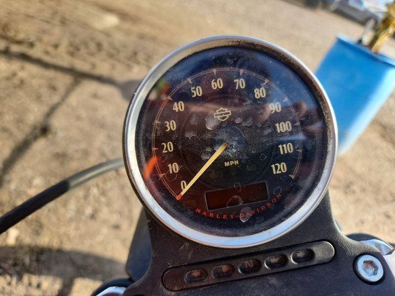 2021 Harley-Davidson Xl883 n
