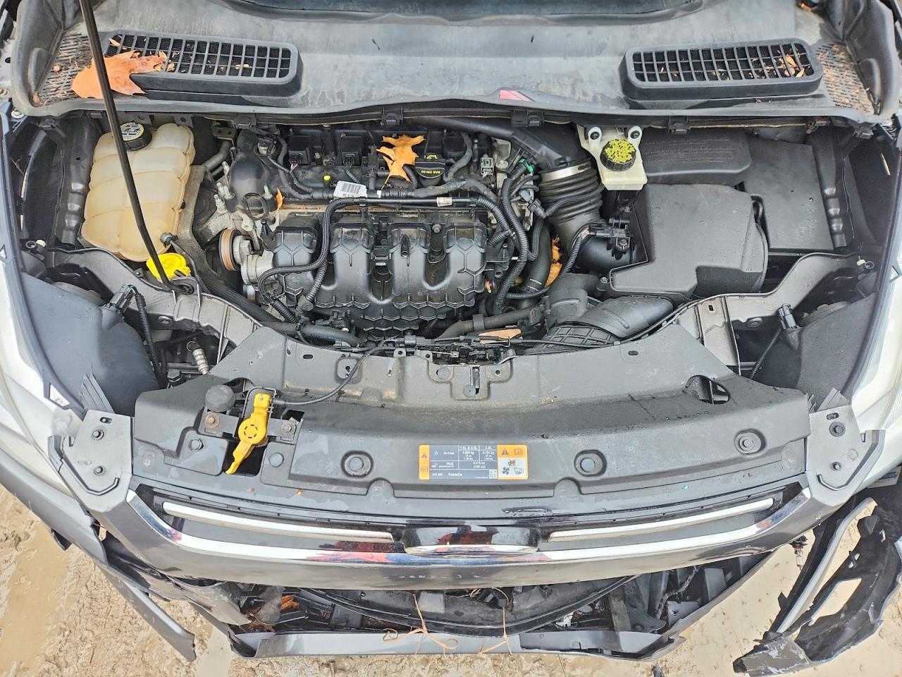 2013 Ford Escape sel