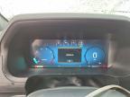 2024 Ford F150 STX
