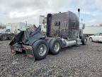 2014 Peterbilt Tractor 2014 Peterbilt 389 Semi Truck