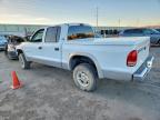 2000 Dodge Dakota Quattro