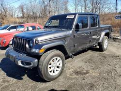 Salvage trucks for sale at Marlboro, NY auction: 2023 Jeep Gladiator Sport