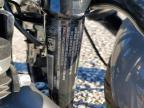 2022 Harley-Davidson XL883 N