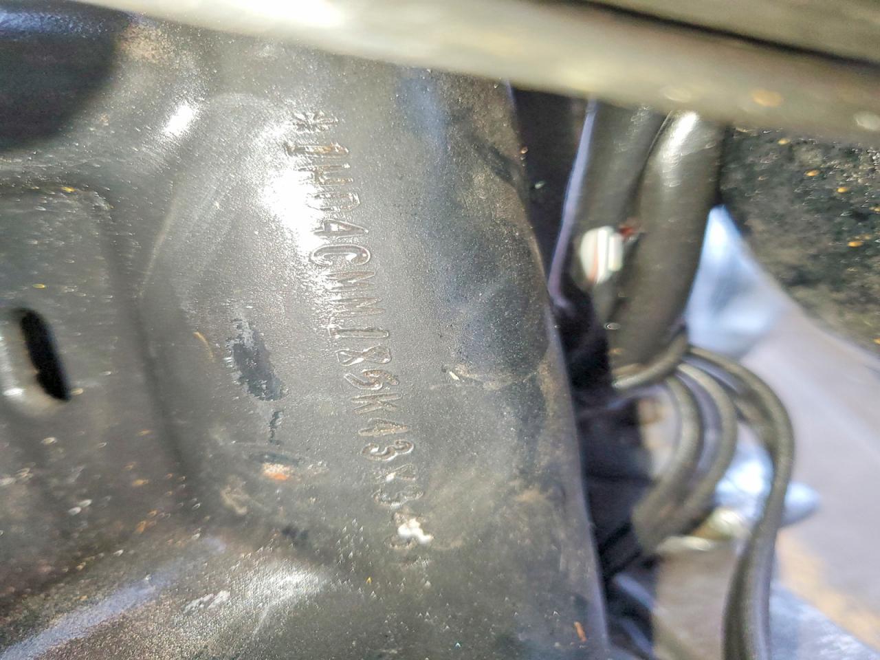 2005 Harley-Davidson XL883 L