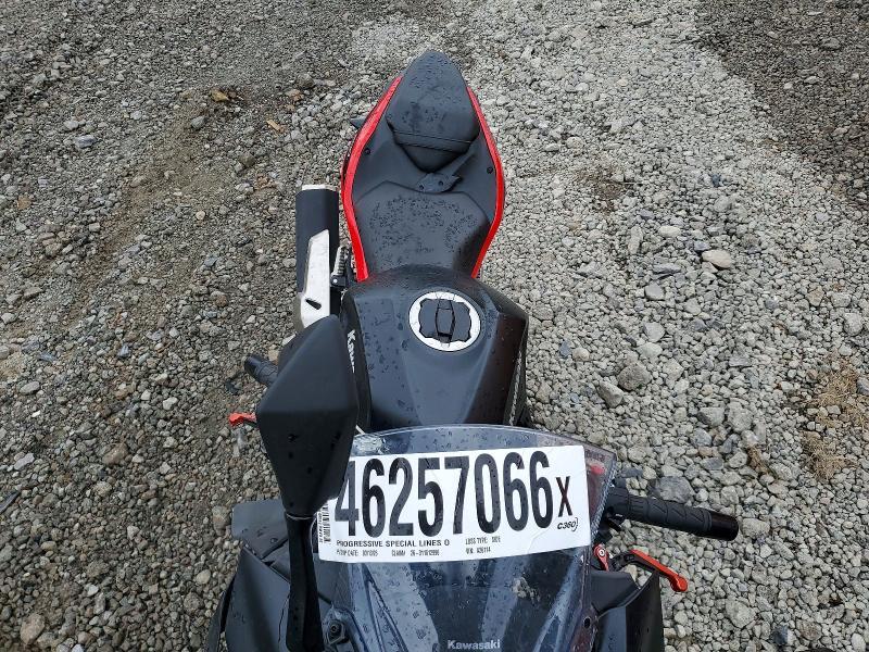 2024 Kawasaki EX500