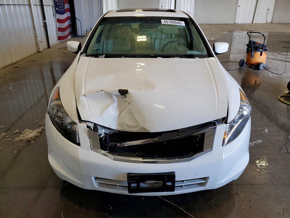 2010 Honda Accord exl