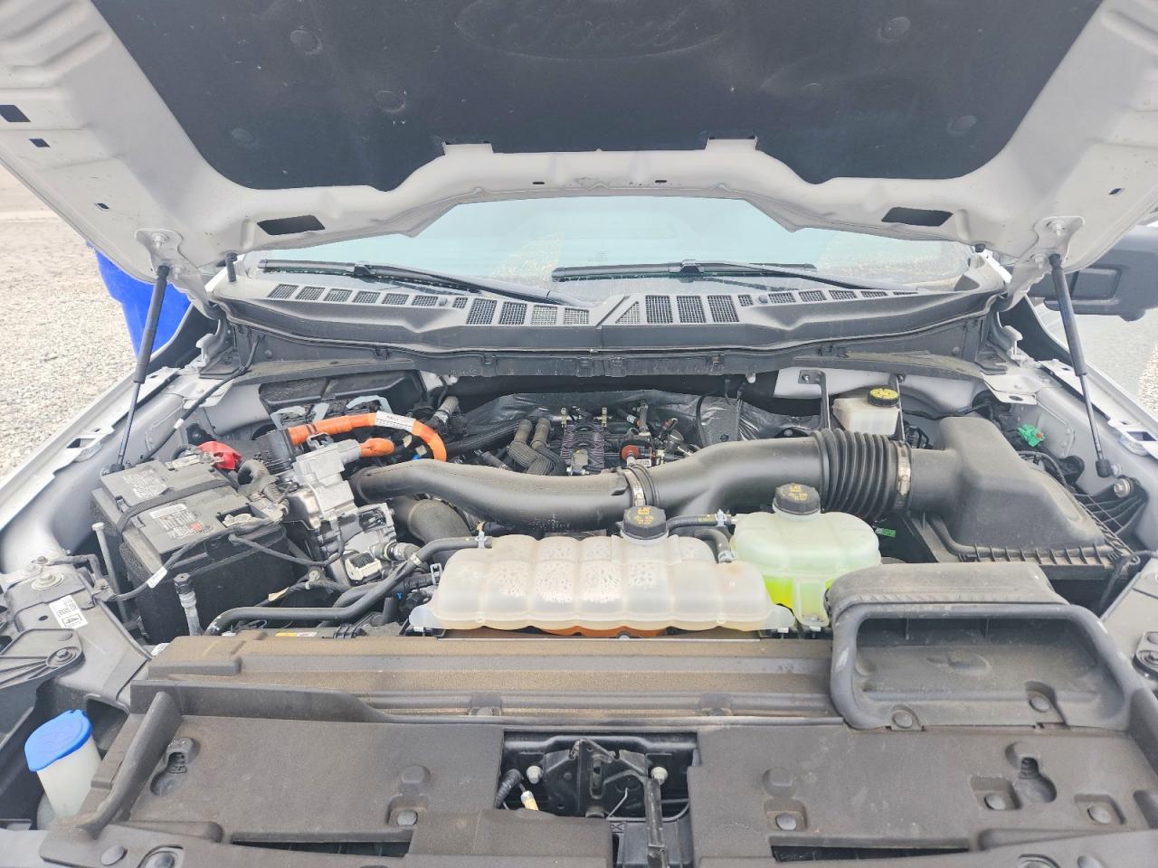 2024 Ford F150 XLT