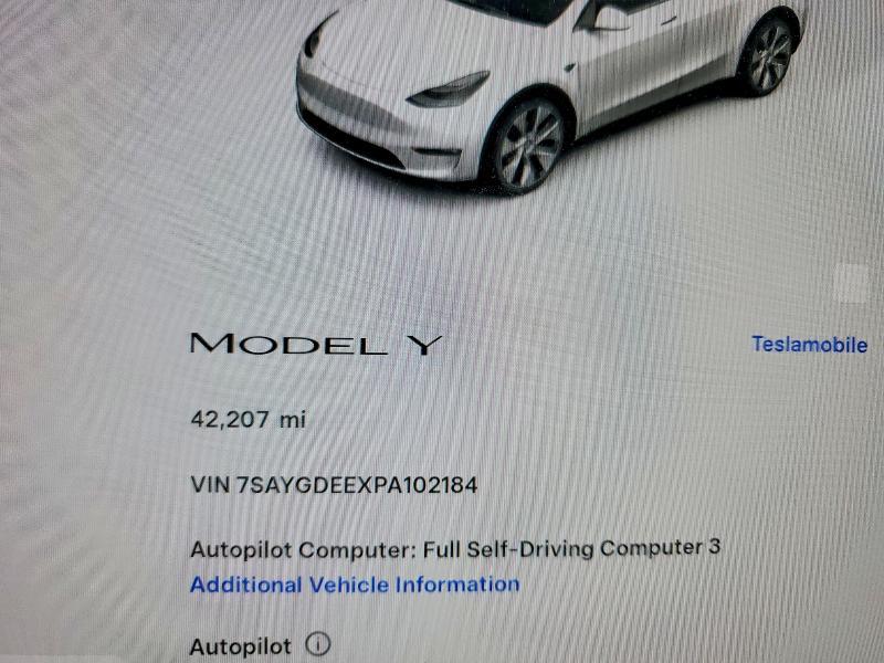 2023 Tesla Model y