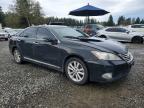 2010 Lexus Es 350 Base