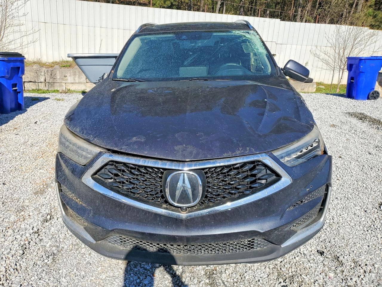 2019 Acura Rdx Advance