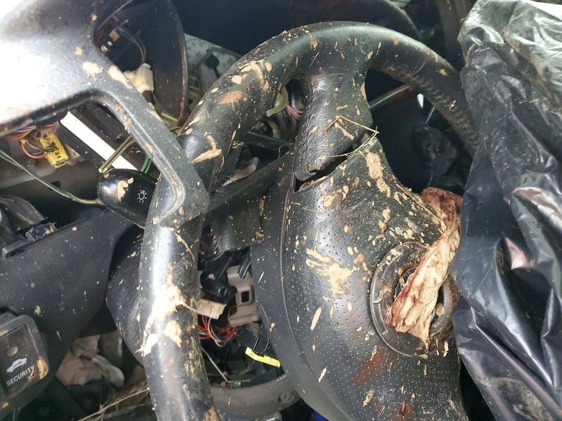 2007 Toyota Corolla s