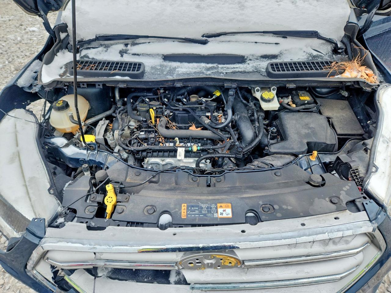 2019 Ford Escape se