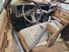 1987 GMC Caballero