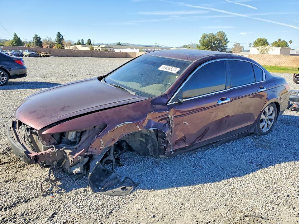 2010 Honda Accord exl